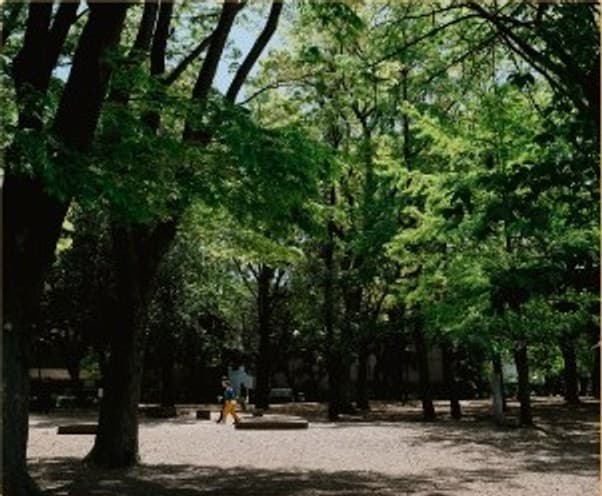 Landscaped park trail